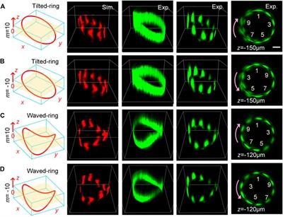 Determining the Phase Gradient Parameter of Three-Dimensional Polymorphic Beams